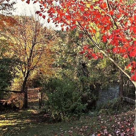 Mole Creek Guesthouse ภายนอก รูปภาพ
