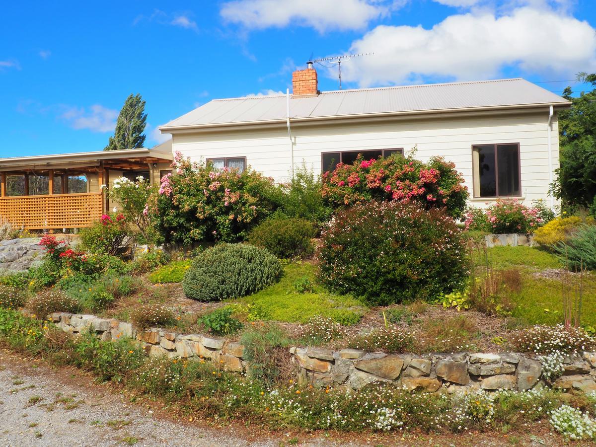 Mole Creek Guesthouse ภายนอก รูปภาพ