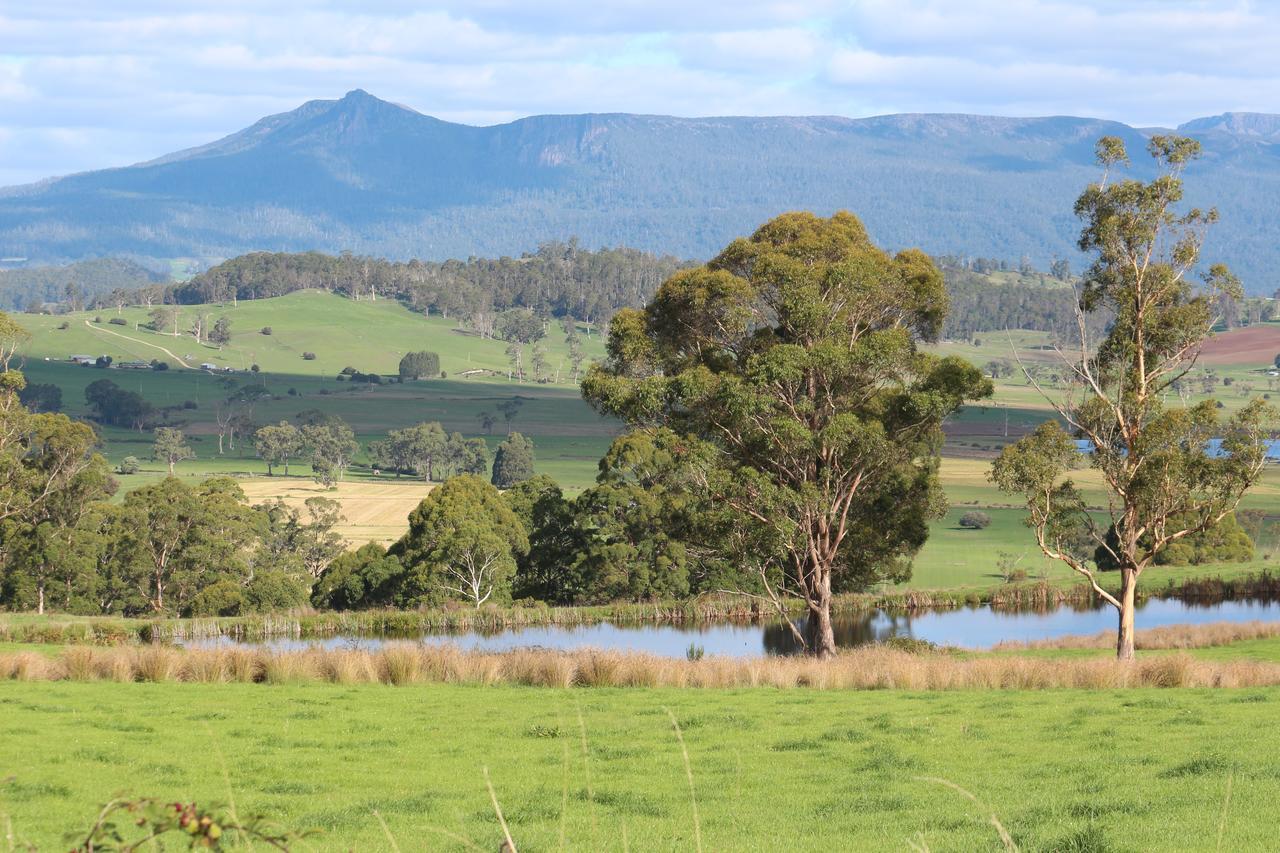 Mole Creek Guesthouse ภายนอก รูปภาพ