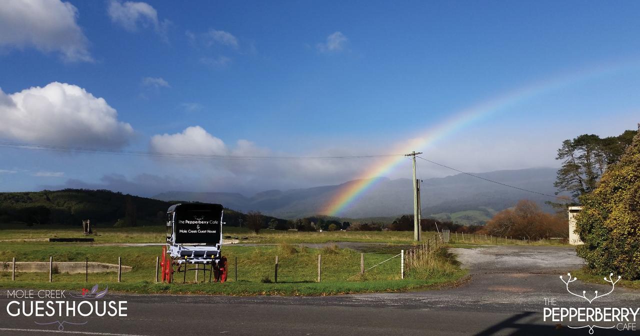 Mole Creek Guesthouse ภายนอก รูปภาพ