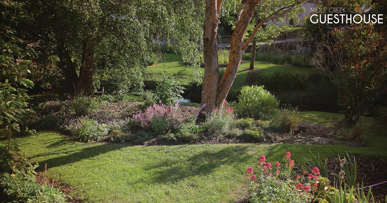 Mole Creek Guesthouse ภายนอก รูปภาพ