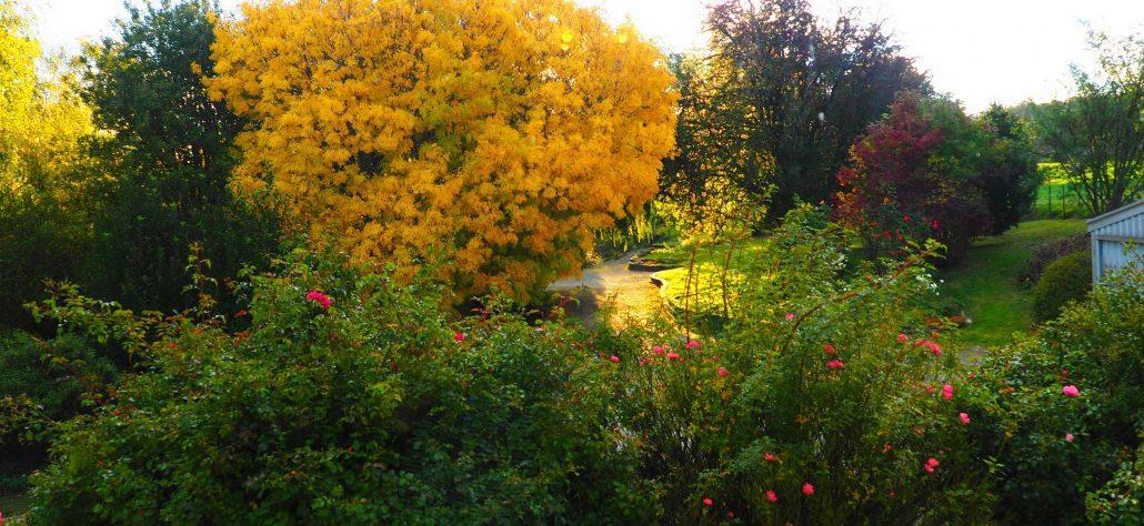 Mole Creek Guesthouse ภายนอก รูปภาพ