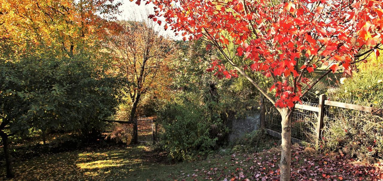 Mole Creek Guesthouse ภายนอก รูปภาพ